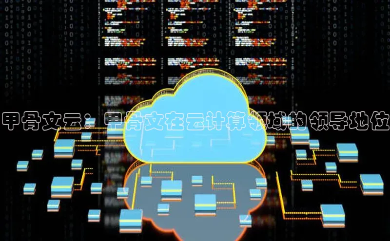 凯捷携程甲骨文云：甲骨文在云计算领域的领导地位