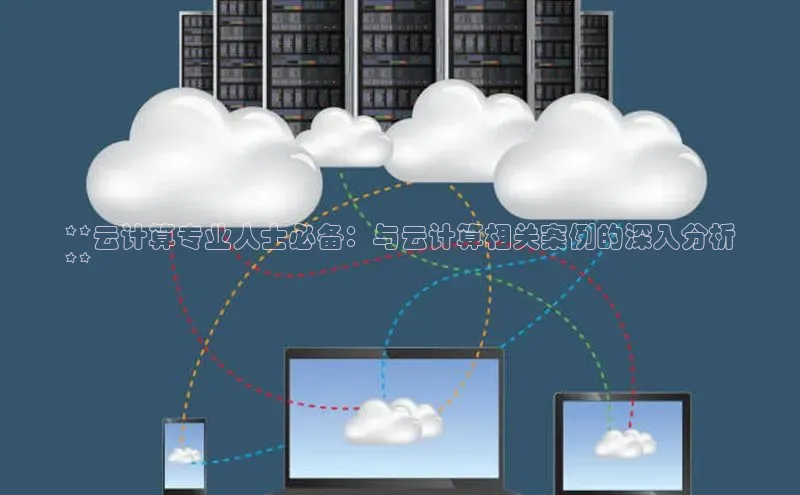 意昂4凯捷娱乐挪威主权基金**云计算专业人士必备：与云计算相关案例的深入分析
**