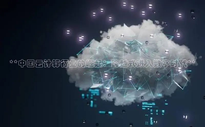 凯捷体育普信公司**中国云计算行业的崛起：跨越式进入数字时代**