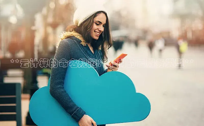 凯捷娱乐猫眼**云计算的命名规范：不同的云服务类型**