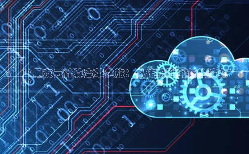 凯捷娱乐阿里尔公司**用友云计算变革之旅：从传统到创新的演变
**