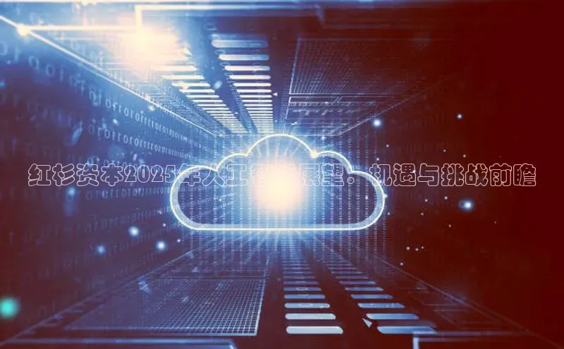 红杉资本2025年人工智能展望：机遇与挑战前瞻